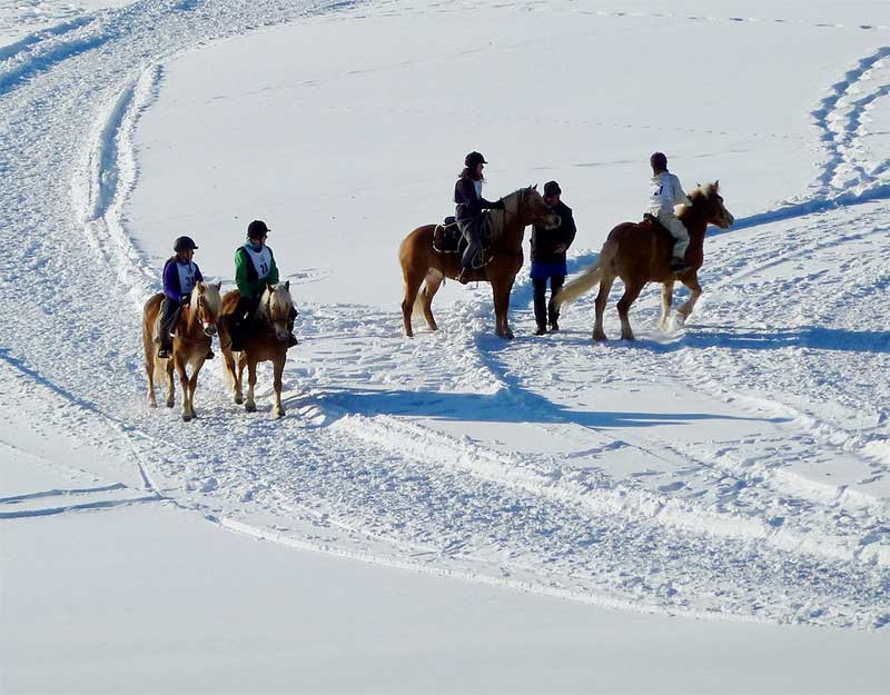 Reiterurlaub im Winter